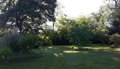 a dog sitting in the grass in a field at Arie Chez Mimosa in Dému