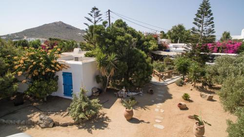 Γενική θέα στο βουνό ή θέα στο βουνό από  αυτό το διαμέρισμα
