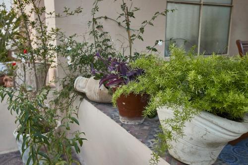 Jardín al aire libre en Dimora La Commare