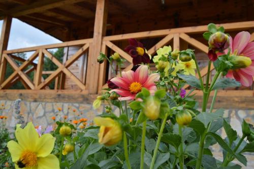 a group of flowers in front of a wooden structure at Apartment Mateja in Mokra Gora