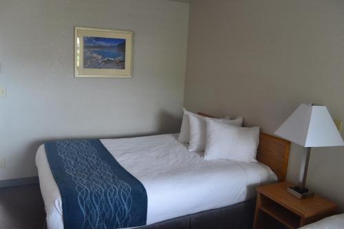 une chambre d'hôtel avec un lit et une lampe dans l'établissement Absaroka Lodge, à Gardiner