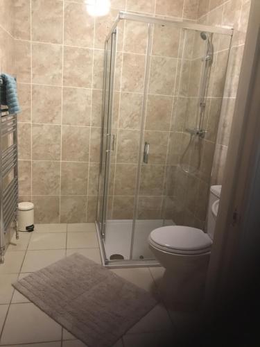 a bathroom with a shower and a toilet at River Ness Apartments in Inverness