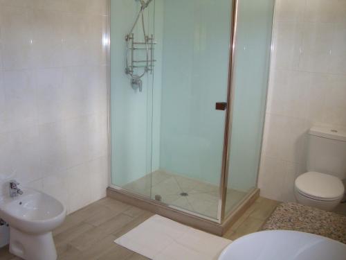 a bathroom with a shower and a toilet and a sink at Villa Belle Plage in Anse Kerlan