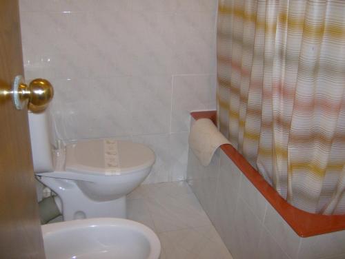 uma casa de banho com um WC e uma cortina de chuveiro em Pensión Monterredondo em Meira