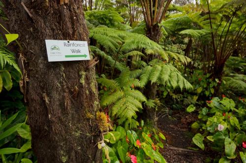 a sign on a tree in a forest with plants at Hale 'Ohu Bed & Breakfast in Volcano