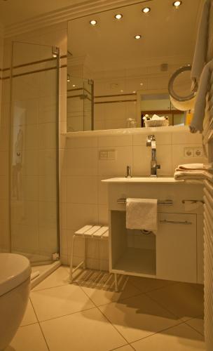 a bathroom with a sink and a shower and a toilet at Chateau Fontenay in Bad Wörishofen