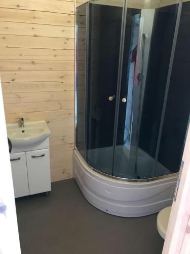 a bathroom with a shower and a sink at Morskieustronie in Ustronie Morskie