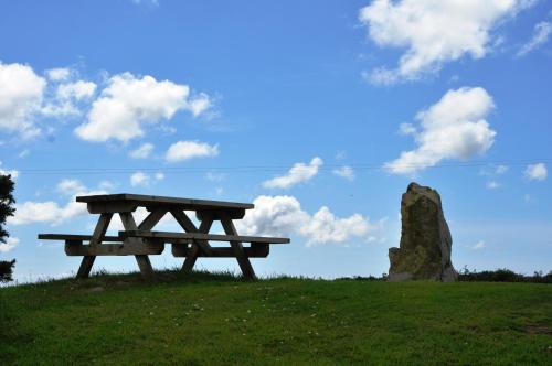 a picnic table in a field with a rock at The Barn at Cae Bach in Gwalchmai