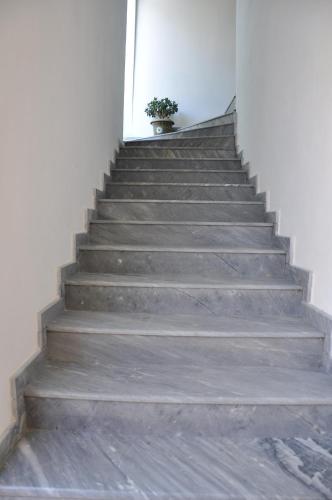 a stair case with a potted plant on it at Akhmed Guest House in Kvariati