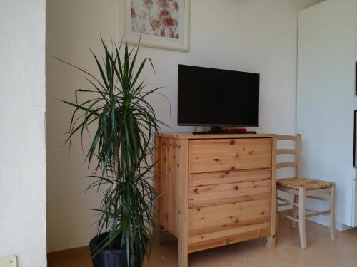 TV a/nebo společenská místnost v ubytování Casa Caroline