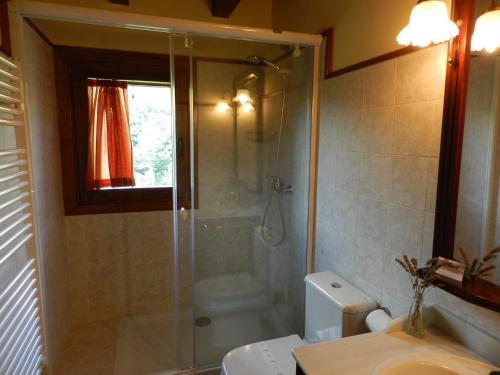 Koupelna v ubytování Apartaments El Tossalet