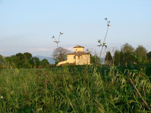 a house in the middle of a field with tall grass at Agrisalotto in Cortona