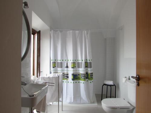 une salle de bain blanche avec un rideau de douche et des toilettes dans l'établissement Apartamentos La Machacona Plaza de Santiago, à Cáceres