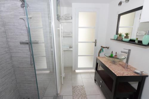 a bathroom with a shower and a sink at Carpe Diem du Vexin in Nesles-la-Vallée