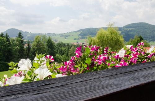 a bunch of pink and white flowers on a ledge at Privatzimmer Haus Gschweitl in Semriach