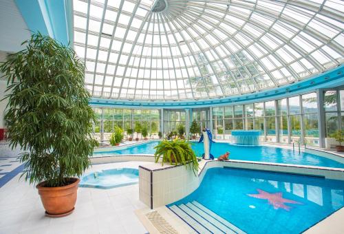 ホスタにあるMys Vidny Health Resortのガラスのドーム型天井の建物内のプール