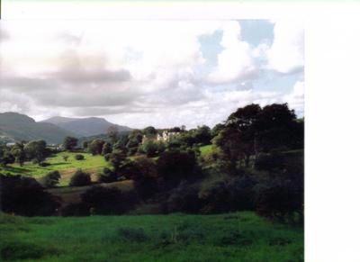 a green field with trees and mountains in the background at Woodhill House in Ardara