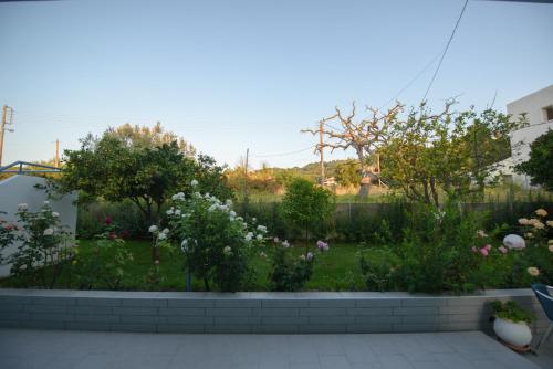 Сад в Dimitra Apartment Hotel