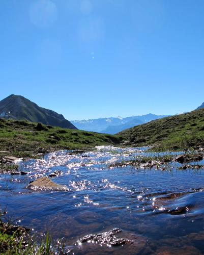 a river in a field with mountains in the background at Engadin Lodge PREMIUM & PRIVATE in Samnaun