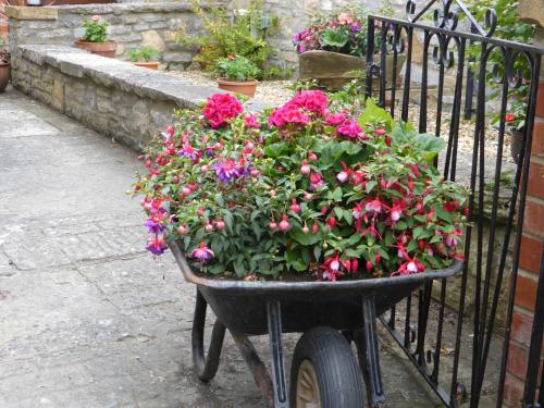 a wheelbarrow filled with flowers in front of a fence at Liongate House in Ilchester