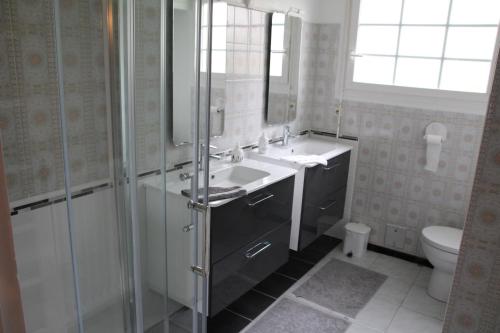 a bathroom with a sink and a shower and a toilet at La planche pinçon in Teloché