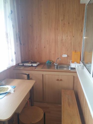 a kitchen with a sink and a wooden wall at Apartmentai Baltoji Ramune in Palanga