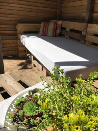 Fotografie z fotogalerie ubytování Appartements Unterdorfer v destinaci Altenmarkt im Pongau