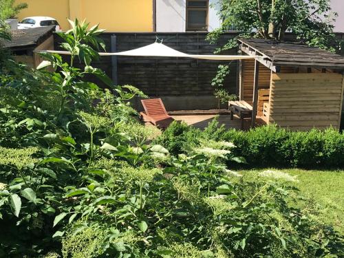 Zahrada ubytování Appartements Unterdorfer