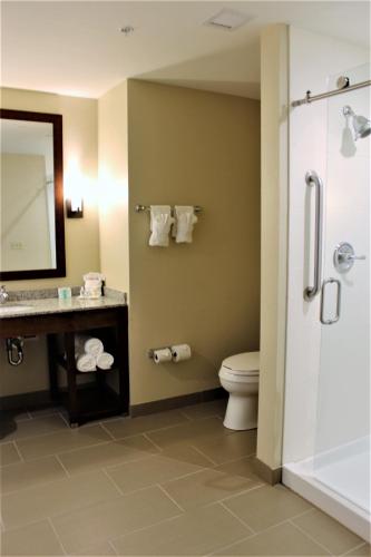 a bathroom with a toilet and a sink and a mirror at Comfort Suites Dodge City in Dodge City