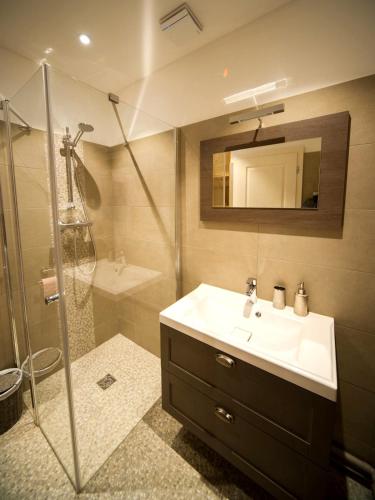 une salle de bain avec un lavabo et une douche dans l'établissement Le Petit Nid***, à Amance