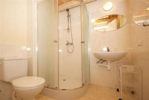a bathroom with a shower and a toilet and a sink at Villa Medeina in Šventoji