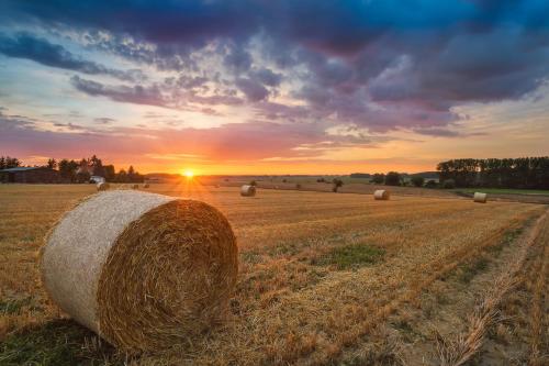a field with hay bales in the sunset at Hotel Wald und See in Heringsdorf