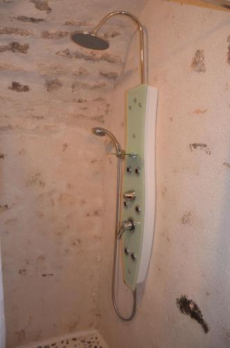 a shower in a bathroom with a shower head at Studio Moncoeur in Le Blanc
