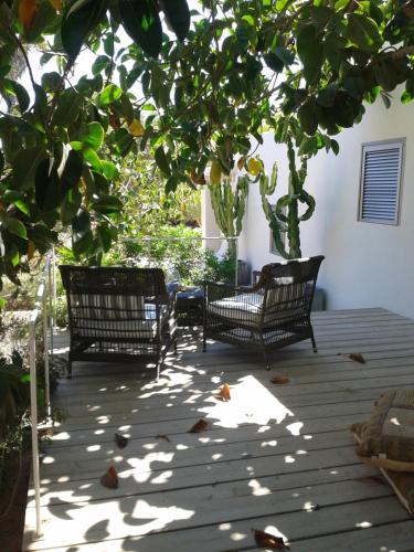Taman di luar Talaya Formentera