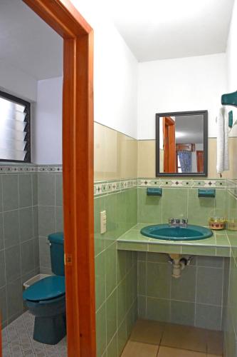 une salle de bain avec des toilettes bleues et un lavabo dans l'établissement Hotel San Luis, à San Cristóbal de Las Casas