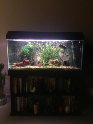 a fishtank with a light on top of it at B&B La Casa d'Artista in Ortignano Raggiolo