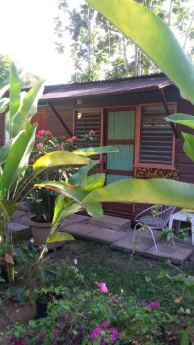 Gallery image of Secret Cabins at Firefly Beach Cottage in Negril