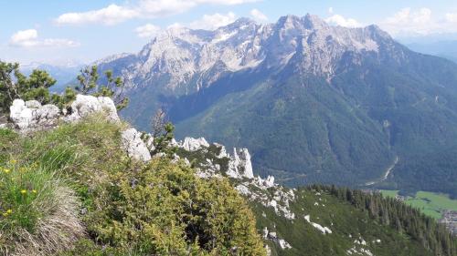 a view of a mountain with trees and a lake at Familie Seiwald in Waidring