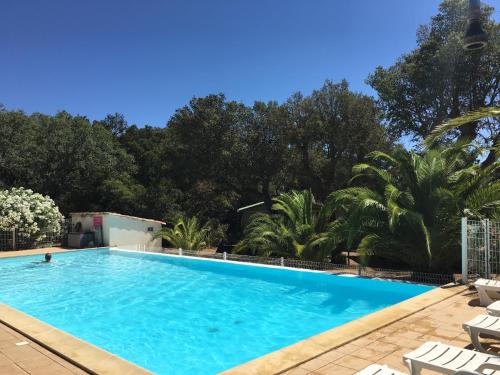 Bazén v ubytování Camping Pezza Cardo nebo v jeho okolí