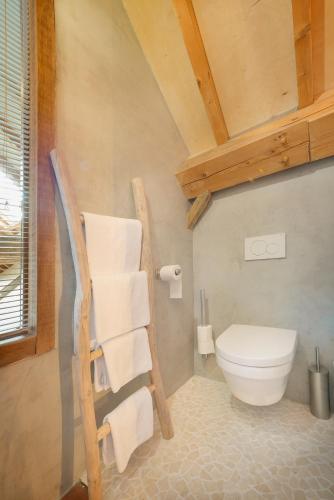 a bathroom with a white toilet and a wooden ceiling at B&B Le Rêve Maastricht in Maastricht