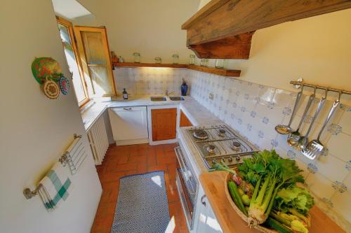 Köök või kööginurk majutusasutuses Campopineta