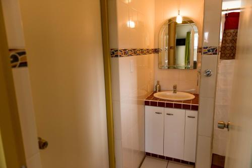 a bathroom with a sink and a mirror at The Lush in Willemstad