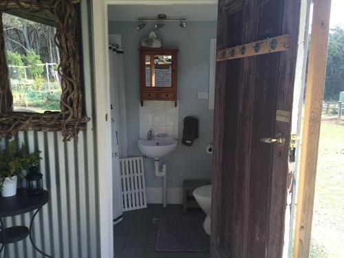 a small bathroom with a sink and a toilet at Ionaforest Yurt in Wingello