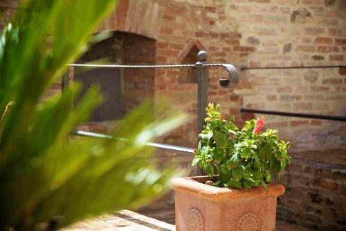 a potted plant sitting in front of a fireplace at Hotel & SPA L'Antico Forziere in Deruta