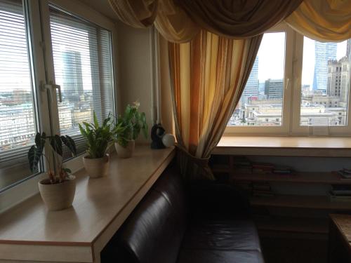 una sala de estar con una mesa con macetas. en Amica Apartment by WarsawResidence Group, en Varsovia