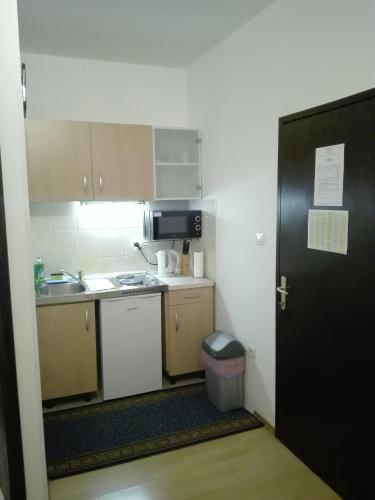 Studio Apartments Ivica