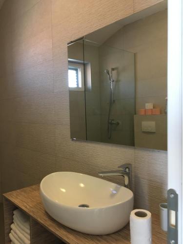 a bathroom with a white sink and a mirror at Apartments Plavi&Žuti in Zaboric