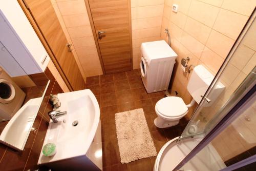 a bathroom with a sink and a toilet and a shower at Danica in Smoljanci