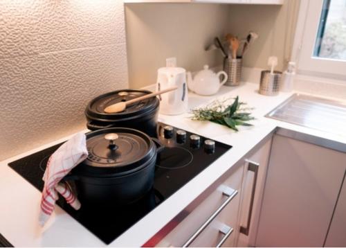 a kitchen with a stove with two pots on it at Comme une parenthèse au coeur des hortillonnages in Amiens