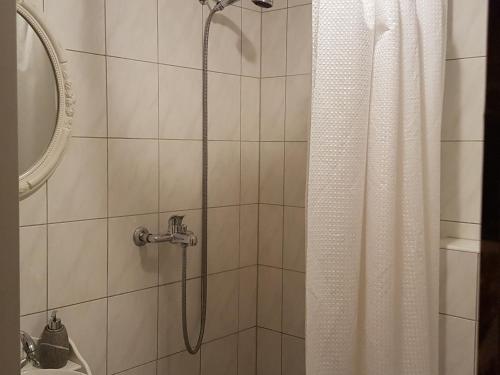 a shower with a white shower curtain next to a sink at Basel Charme Apartments in Basel